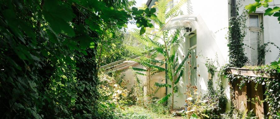 Formulierungen: Gartenlesung zur Buchpräsentation am 11. Juni 2026