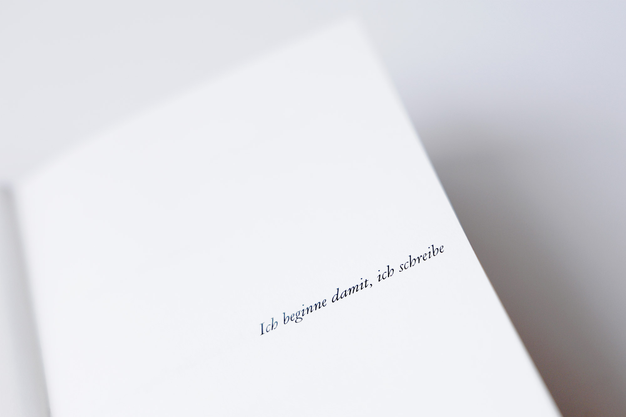 Nina Lenz Formulierungen 3