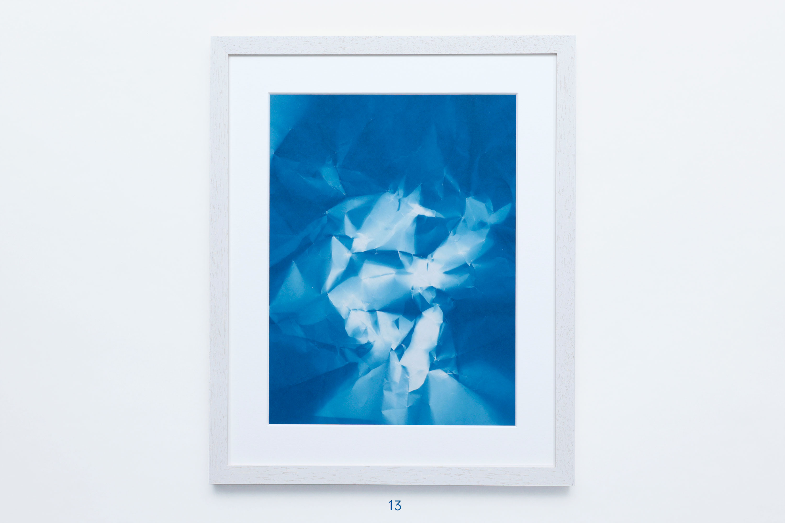 Edition von Sara Förster – 25 Cyanotypien 13