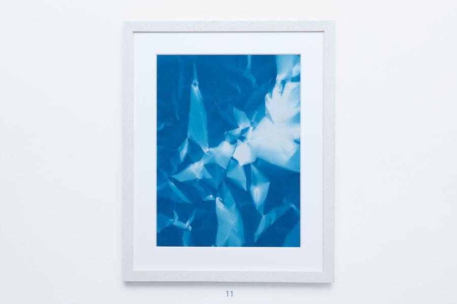 Edition von Sara Förster – 25 Cyanotypien 11