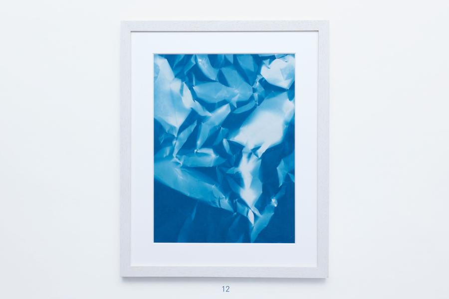 Edition von Sara Förster – 25 Cyanotypien 12