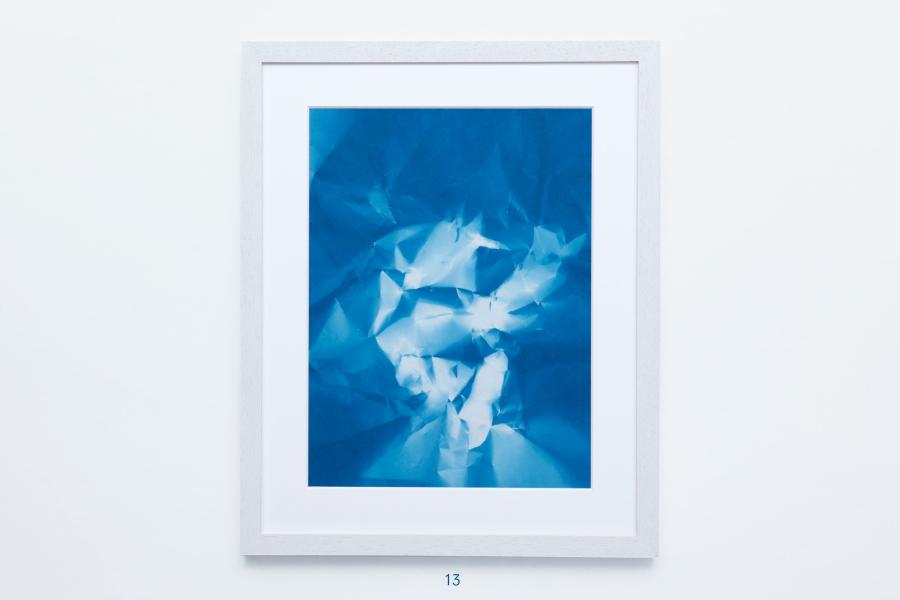 Edition von Sara Förster – 25 Cyanotypien 13