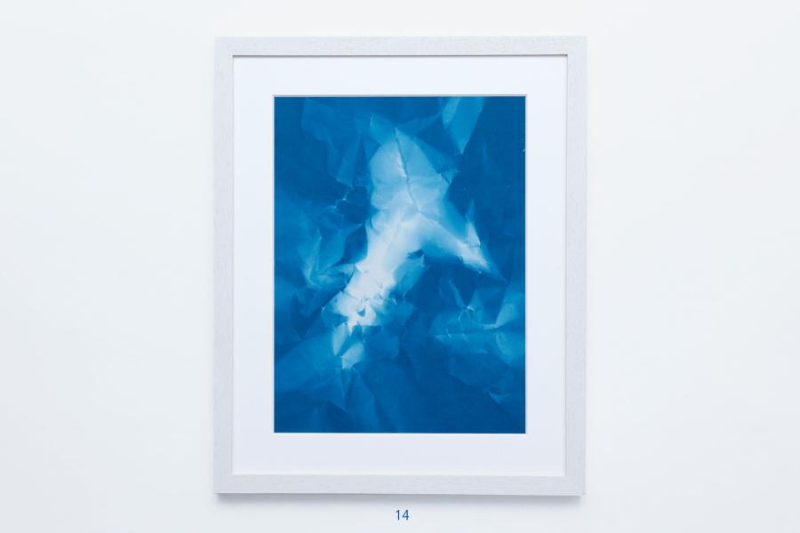 Edition von Sara Förster – 25 Cyanotypien 14
